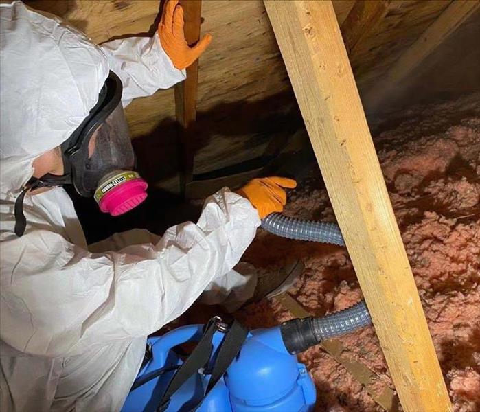 Crew Applying Attic Attack