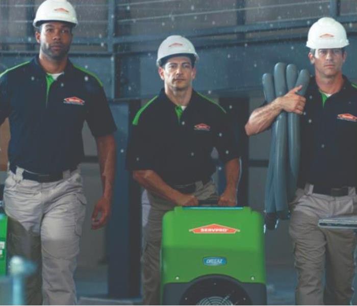 Servpro Team